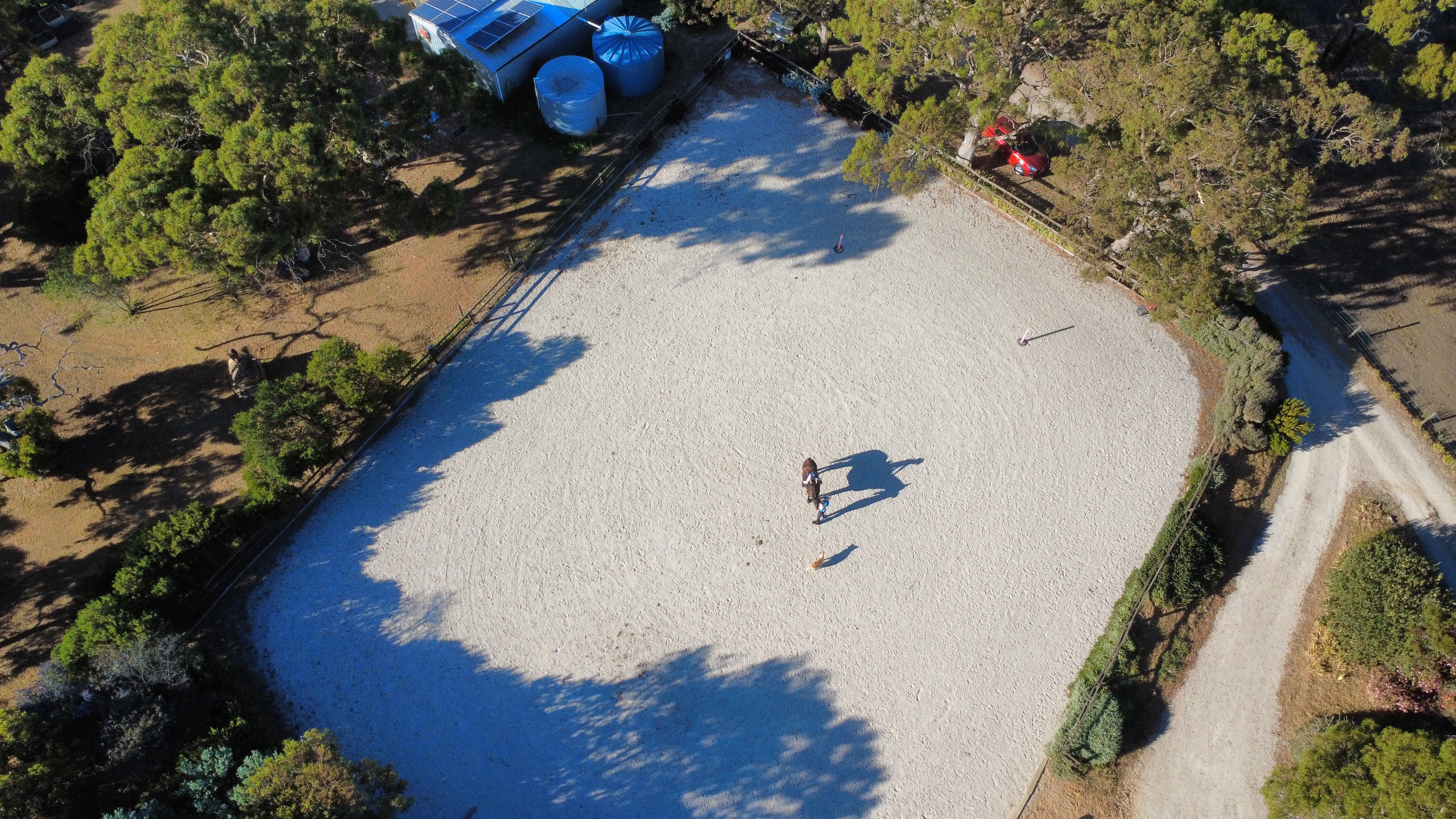 Equestrian Property